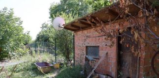 PJEVAČICA ŽIVI U UDŽERICI BEZ STRUJE VODE, WC SA 14 PASA I 11 MAČAKA! Unutra đubre, flaše,kese i iscijepane stvari, napolju zarhđala kada i šporet (FOTO) PJEVAČICA ŽIVI U UDŽERICI BEZ STRUJE VODE, WC SA 14 PASA I 11 MAČAKA! Unutra đubre, flaše,kese i iscijepane stvari, napolju zarhđala kada i šporet (FOTO) - featured image