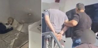 M0nstru0zni roditelji držali djevojčicu šest godina zar0bljenu: Nije naučila govoriti, nikad nije bila kod doktora – tretirali je kao živ0tinju, siI*0vali svi redom M0nstru0zni roditelji držali djevojčicu šest godina zar0bljenu: Nije naučila govoriti, nikad nije bila kod doktora – tretirali je kao živ0tinju, siI*0vali svi redom - featured image