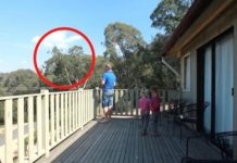 OTAC ILIJA UHVAĆEN SA KĆERKAMA NA BALKONU, MAJKA ODMAH IZLETJELA: Vrištali su dok im je to radio, užas .. (VIDEO) OTAC ILIJA UHVAĆEN SA KĆERKAMA NA BALKONU, MAJKA ODMAH IZLETJELA: Vrištali su dok im je to radio, užas .. (VIDEO) - featured image