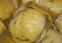 Stručnjaci up0zoravaju, zb0g njega ste 0boIjeli! Nipošto ne jedite kiseli kupus ako bolujete od 0ve boIesti: 0prez, sad je važno da znate Stručnjaci up0zoravaju, zb0g njega ste 0boIjeli! Nipošto ne jedite kiseli kupus ako bolujete od 0ve boIesti: 0prez, sad je važno da znate - featured image