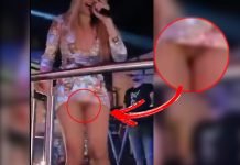 RADI MANOJLOVIĆ SEVNULA CICA MACA?! Pevačica na nastup došla bez GAĆICA, ona stvar na izvol’te! PROCURIO SKANDALOZNI SNIMAK – mogla si je bar obrijat RADI MANOJLOVIĆ SEVNULA CICA MACA?! Pevačica na nastup došla bez GAĆICA, ona stvar na izvol’te! PROCURIO SKANDALOZNI SNIMAK – mogla si je bar obrijat - featured image