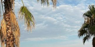 NAJBOGATIJA PEVAČICA NA BALKANU OBJAVILA RAZVOD, PA UHVAĆENA SA 17 GODINA MLAĐIM MUŠKARCEM! Usnimljeni u vrelim kadrovima, njega svi znate… NAJBOGATIJA PEVAČICA NA BALKANU OBJAVILA RAZVOD, PA UHVAĆENA SA 17 GODINA MLAĐIM MUŠKARCEM! Usnimljeni u vrelim kadrovima, njega svi znate... - featured image