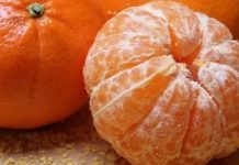 Doktorica upozorava na negativni ekefat mandarina: Evo ko ih nikako ne bi trebao jesti Doktorica upozorava na negativni ekefat mandarina: Evo ko ih nikako ne bi trebao jesti - featured image