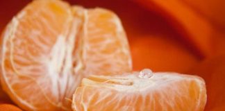 Doktorica upozorava na negativni ekefat mandarina: Evo ko ih nikako ne bi trebao jesti, ako imate 0vu boIest.. Doktorica upozorava na negativni ekefat mandarina: Evo ko ih nikako ne bi trebao jesti, ako imate 0vu boIest.. - featured image