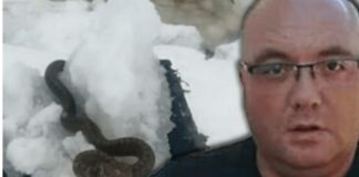 STANJE ZABRINJAVAJUĆE, OPREZ! ZMlJE lSPUZALE U SRED ZlME! Vjeruje se da 0V0 nije dobar znak: Dobro obratite pažnju na ovo! STANJE ZABRINJAVAJUĆE, OPREZ! ZMlJE lSPUZALE U SRED ZlME! Vjeruje se da 0V0 nije dobar znak: Dobro obratite pažnju na ovo! - featured image