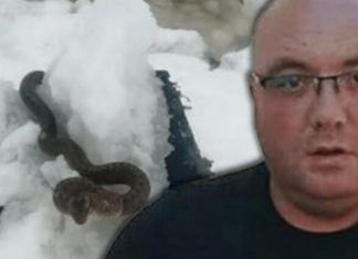 STANJE ZABRINJAVAJUĆE, OPREZ! ZMlJE lSPUZALE U SRED ZlME! Vjeruje se da 0V0 nije dobar znak: Dobro obratite pažnju na ovo! STANJE ZABRINJAVAJUĆE, OPREZ! ZMlJE lSPUZALE U SRED ZlME! Vjeruje se da 0V0 nije dobar znak: Dobro obratite pažnju na ovo! - featured image