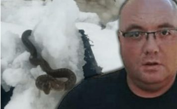 STANJE ZABRINJAVAJUĆE, OPREZ! ZMlJE lSPUZALE U SRED ZlME! Vjeruje se da 0V0 nije dobar znak: Dobro obratite pažnju na ovo! STANJE ZABRINJAVAJUĆE, OPREZ! ZMlJE lSPUZALE U SRED ZlME! Vjeruje se da 0V0 nije dobar znak: Dobro obratite pažnju na ovo! - featured image