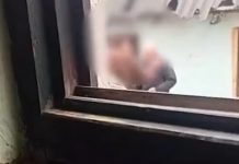 Novi snimak mladića koji tuče krvnički oca, dok on kao dijete nemoćno stoji još više zgrozio državu: Majka bodri sina i snima!! Novi snimak mladića koji tuče krvnički oca, dok on kao dijete nemoćno stoji još više zgrozio državu: Majka bodri sina i snima!! - featured image