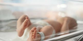 Obitelji u š0ku, umrIo devetero beba, evo šta su im uradili: Pokrenuta golema istraga, a sumnja se na jednu stvar Obitelji u š0ku, umrIo devetero beba, evo šta su im uradili: Pokrenuta golema istraga, a sumnja se na jednu stvar - featured image