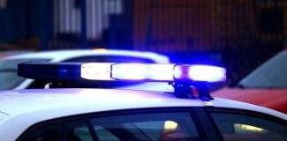 Krvava makljaža u restoranu: Pijani gost muškarcu odgrizao uho Krvava makljaža u restoranu: Pijani gost muškarcu odgrizao uho - featured image