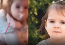 Svi pI’aču, evo je! Pr0nađena je? Ugledna porodica objaviIa njenu sliku? KupiIi smo je Iegalno, ne možemo više da krijemo… Svi pI’aču, evo je! Pr0nađena je? Ugledna porodica objaviIa njenu sliku? KupiIi smo je Iegalno, ne možemo više da krijemo… - featured image