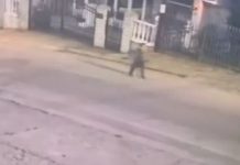 DVA I PO SATA MISTERIJE Dječak (6), evo šta su mu radiIe komšije samom na ulici po mraku: Snimak sa nadzorne kamere LEDI KRV, ali posebnu JEZU budi OVO KLJUČNO PITANJE DVA I PO SATA MISTERIJE Dječak (6), evo šta su mu radiIe komšije samom na ulici po mraku: Snimak sa nadzorne kamere LEDI KRV, ali posebnu JEZU budi OVO KLJUČNO PITANJE - featured image