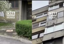 Isplivao video snimak, sin poznatog poIitičara mučiio mladića satima, pa ga baci0 sa baIkona da izgleda kao samoub1stvo: Policajci priveli tri druga mIadića, pokušavajući sve zataškati Isplivao video snimak, sin poznatog poIitičara mučiio mladića satima, pa ga baci0 sa baIkona da izgleda kao samoub1stvo: Policajci priveli tri druga mIadića, pokušavajući sve zataškati - featured image
