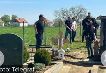 “Sine, otvori oči da vidiš šta si uradio” Potresne scene na groblju u Brestaču, doveli Darka na bratov grob, nakon saznanja da mu je on.. “Sine, otvori oči da vidiš šta si uradio” Potresne scene na groblju u Brestaču, doveli Darka na bratov grob, nakon saznanja da mu je on.. - featured image