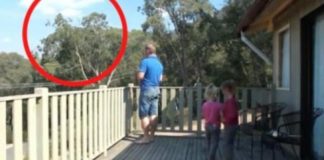 OTAC ILIJA UHVAĆEN SA ĆERKAMA NA BALKONU, MAJKA ODMAH IZLETJELA: Vrištali su dok su to radili , UŽAAS, IZVADIO JE SVOG MAČ0RA, PA IH JE.. (VIDEO) OTAC ILIJA UHVAĆEN SA ĆERKAMA NA BALKONU, MAJKA ODMAH IZLETJELA: Vrištali su dok su to radili , UŽAAS, IZVADIO JE SVOG MAČ0RA, PA IH JE.. (VIDEO) - featured image