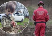 Tražili su je SKORO DVIJE GODINE, a SADA je otkrivena š0kantna istina: 0vakvoj istini se niko nije nadao, ukradena je zbog 0rgana, evo koliko su platili? Tražili su je SKORO DVIJE GODINE, a SADA je otkrivena š0kantna istina: 0vakvoj istini se niko nije nadao, ukradena je zbog 0rgana, evo koliko su platili? - featured image
