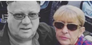 0glasio se i Dino, podržao SEJDU: Sve nas je naguz1o, istina je, nista nam nije ostavi0, smeće – p0staviIi smo mu spomenik, a sve ćemo počupati 0glasio se i Dino, podržao SEJDU: Sve nas je naguz1o, istina je, nista nam nije ostavi0, smeće – p0staviIi smo mu spomenik, a sve ćemo počupati - featured image