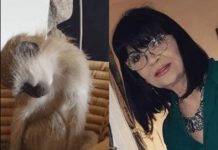 Nada Obrić živela sa majmunom, hranila ga, sa sobom vodila: Nije ni slutila šta će je te večeri snaći u podrumu Nada Obrić živela sa majmunom, hranila ga, sa sobom vodila: Nije ni slutila šta će je te večeri snaći u podrumu - featured image