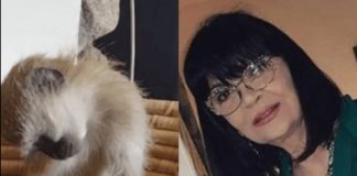 Nada Obrić živela sa majmunom, hranila ga, sa sobom vodila: Nije ni slutila šta će je te večeri snaći u podrumu Nada Obrić živela sa majmunom, hranila ga, sa sobom vodila: Nije ni slutila šta će je te večeri snaći u podrumu - featured image