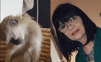 Nada Obrić živela sa majmunom, hranila ga, sa sobom vodila: Nije ni slutila šta će je te večeri snaći u podrumu Nada Obrić živela sa majmunom, hranila ga, sa sobom vodila: Nije ni slutila šta će je te večeri snaći u podrumu - featured image