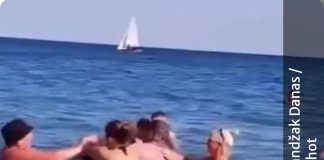 MASOVNA TUČA ŽENA U PLIĆAKU U ULCINJU Jedna udarila muža drugoj, pa nastao opšti haos: Dijete na gumi gledalo obračun, turisti na Velikoj plaži ŠOKIRANI MASOVNA TUČA ŽENA U PLIĆAKU U ULCINJU Jedna udarila muža drugoj, pa nastao opšti haos: Dijete na gumi gledalo obračun, turisti na Velikoj plaži ŠOKIRANI - featured image