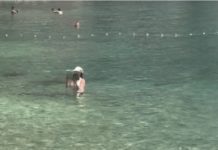 “Ovo je kraj svijeta” Žena snimljena u Crnoj Gori kako USRED MORA RADI OVO i internet je doslovno eksplodirao “Ovo je kraj svijeta” Žena snimljena u Crnoj Gori kako USRED MORA RADI OVO i internet je doslovno eksplodirao - featured image