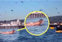 Snimala je svoju kćerku na plaži, ali nije ni slutila šta će se desiti narednih sekundi! Snimala je svoju kćerku na plaži, ali nije ni slutila šta će se desiti narednih sekundi! - featured image