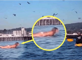 Snimala je svoju kćerku na plaži, ali nije ni slutila šta će se desiti narednih sekundi! Snimala je svoju kćerku na plaži, ali nije ni slutila šta će se desiti narednih sekundi! - featured image