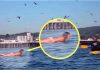 Snimala je svoju kćerku na plaži, ali nije ni slutila šta će se desiti narednih sekundi! OVO MORATE VIDJETI, OPREZ RODITELJI Snimala je svoju kćerku na plaži, ali nije ni slutila šta će se desiti narednih sekundi! OVO MORATE VIDJETI, OPREZ RODITELJI - featured image