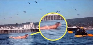 Snimala je svoju kćerku na plaži, ali nije ni slutila šta će se desiti narednih sekundi! OVO MORATE VIDJETI, OPREZ RODITELJI Snimala je svoju kćerku na plaži, ali nije ni slutila šta će se desiti narednih sekundi! OVO MORATE VIDJETI, OPREZ RODITELJI - featured image