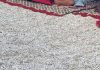 Prespavali su na plaži kod Splita i postali hit na društvenim mrežama, odmah će vam biti jasno zašto Prespavali su na plaži kod Splita i postali hit na društvenim mrežama, odmah će vam biti jasno zašto - featured image