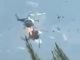 UŽAS Dva helikoptera sudarila se prilikom gašenja požara, dvoje ljudi je poginulo UŽAS Dva helikoptera sudarila se prilikom gašenja požara, dvoje ljudi je poginulo - featured image
