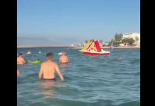 “Marš ti iz mora!” Snimak sa hrvatske plaže izazvao lavinu komentara: Turisti iznervirani onim što su vidjeli u vodi (VIDEO) “Marš ti iz mora!” Snimak sa hrvatske plaže izazvao lavinu komentara: Turisti iznervirani onim što su vidjeli u vodi (VIDEO) - featured image