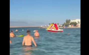 “Marš ti iz mora!” Snimak sa hrvatske plaže izazvao lavinu komentara: Turisti iznervirani onim što su vidjeli u vodi (VIDEO) “Marš ti iz mora!” Snimak sa hrvatske plaže izazvao lavinu komentara: Turisti iznervirani onim što su vidjeli u vodi (VIDEO) - featured image