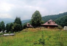 ZASTRAŠUJUĆE STVORENJE SNIMLJENO NA TARI: Sve češće ih ima u Srbiji, na mrežama zaprepašćeni – “Šta je bre ovo, SPALI GA” (FOTO) ZASTRAŠUJUĆE STVORENJE SNIMLJENO NA TARI: Sve češće ih ima u Srbiji, na mrežama zaprepašćeni – “Šta je bre ovo, SPALI GA” (FOTO) - featured image