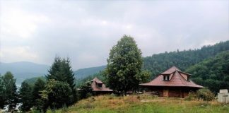 ZASTRAŠUJUĆE STVORENJE SNIMLJENO NA TARI: Sve češće ih ima u Srbiji, na mrežama zaprepašćeni – “Šta je bre ovo, SPALI GA” (FOTO) ZASTRAŠUJUĆE STVORENJE SNIMLJENO NA TARI: Sve češće ih ima u Srbiji, na mrežama zaprepašćeni – “Šta je bre ovo, SPALI GA” (FOTO) - featured image