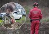 Tražili su je godinama, a onda je otkrivena š0kantna istina: Napokon riješena misterija, 0vaj scenarij niko nikad nije mogao ni da sanja Tražili su je godinama, a onda je otkrivena š0kantna istina: Napokon riješena misterija, 0vaj scenarij niko nikad nije mogao ni da sanja - featured image