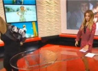 “SVE BIH VAS ZAPALILA, ZA KOSU BIH TE IZVUKLA!” Goca Tržan skočila na voditeljku, a kad čujete RAZLOG, sve će vam biti jasno: “Jesi li ti, bre, normalna?!”Kakav skandal u emisiji(VIDEO) “SVE BIH VAS ZAPALILA, ZA KOSU BIH TE IZVUKLA!” Goca Tržan skočila na voditeljku, a kad čujete RAZLOG, sve će vam biti jasno: “Jesi li ti, bre, normalna?!”Kakav skandal u emisiji(VIDEO) - featured image