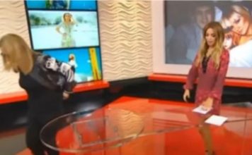 “SVE BIH VAS ZAPALILA, ZA KOSU BIH TE IZVUKLA!” Goca Tržan skočila na voditeljku, a kad čujete RAZLOG, sve će vam biti jasno: “Jesi li ti, bre, normalna?!”Kakav skandal u emisiji(VIDEO) “SVE BIH VAS ZAPALILA, ZA KOSU BIH TE IZVUKLA!” Goca Tržan skočila na voditeljku, a kad čujete RAZLOG, sve će vam biti jasno: “Jesi li ti, bre, normalna?!”Kakav skandal u emisiji(VIDEO) - featured image
